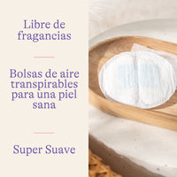 Protectores desechables de lactancia